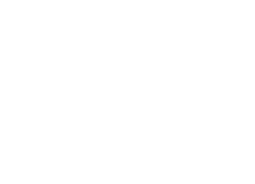 lindt white logo