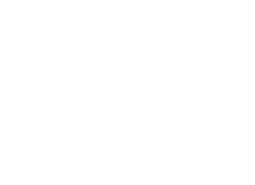 wandering bear logo in white